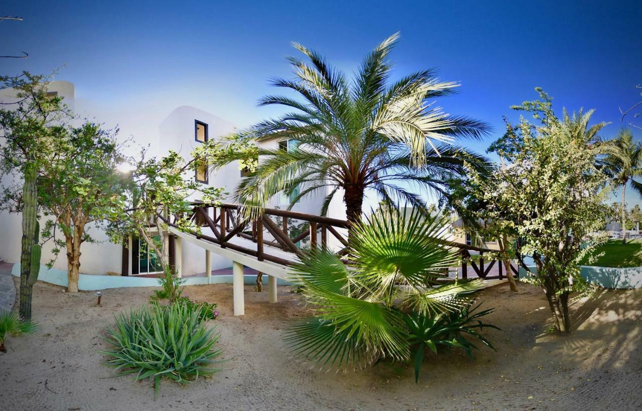Santa Maria Del Cabo Hotel San Jose del Cabo Ngoại thất bức ảnh